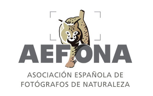 AEFONA Galerías