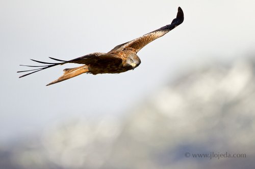 Navegando en las alturas