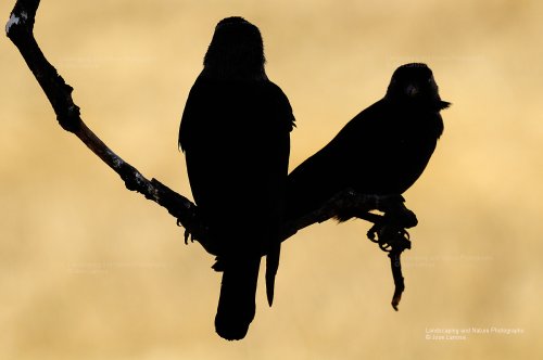 Y nosotros quienes somos