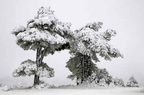 Invierno en la Serranía de Cuenca