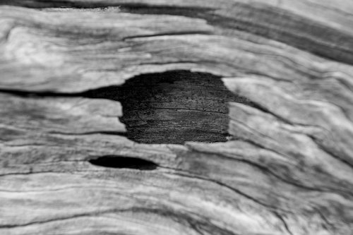 Huellas de identidad