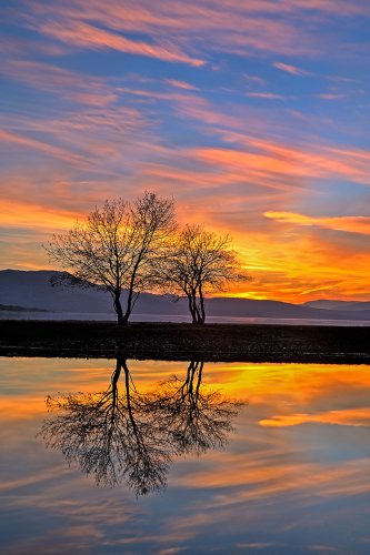 Desnudos en el ocaso