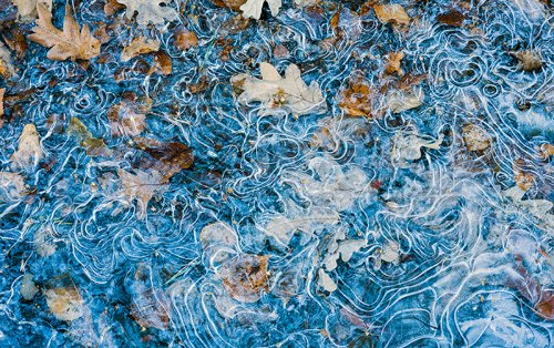 Abstracción otoñal