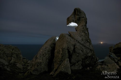 Criatura de la noche