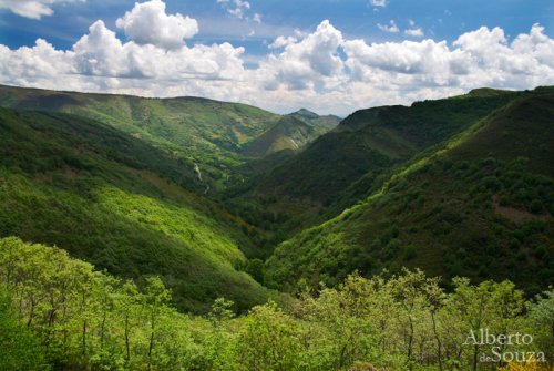 El manto verde: O Courel
