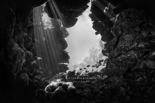 Wonderful Silent World