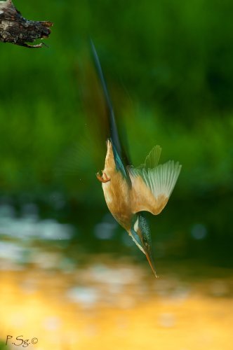 El alma del pescador
