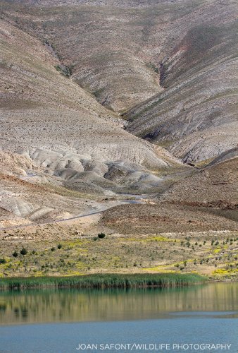 Eso también es Marruecos.