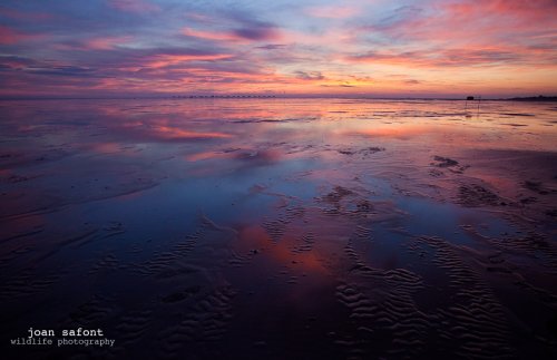 Donna Nook ( Inglaterra )