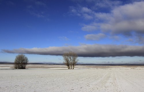 Gallocanta en blanco. 