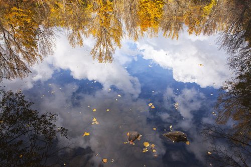 Ventana a otro mundo