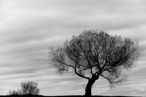 Atravesado por la luz