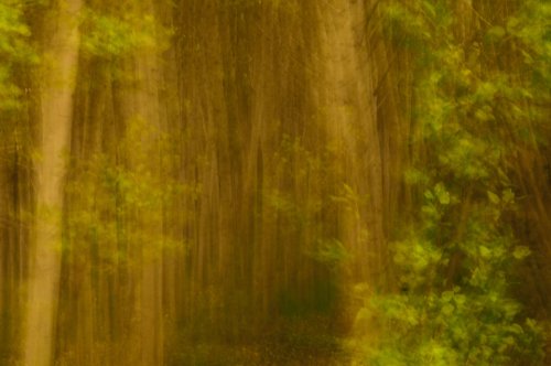 Impresiones. Movimiento1