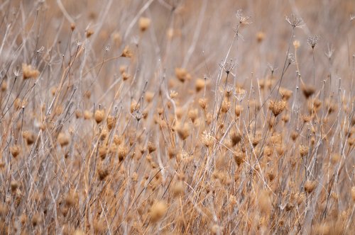Antes de la tormenta