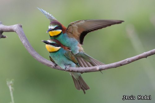 Momentos de intimidad