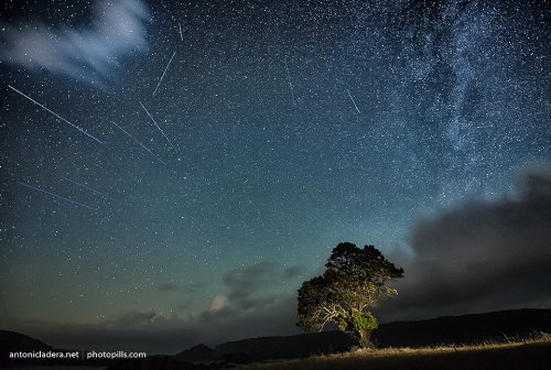 Esperando a las camelopardalidas