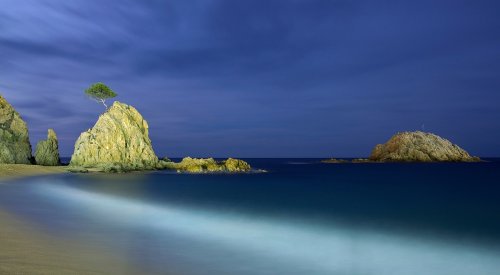 Solitario en la Costa Brava