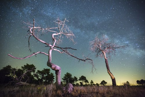 Placeres primigenios