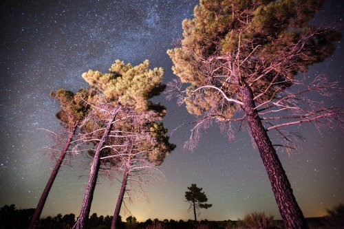 Últimas noches de verano