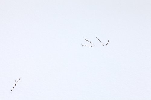 Conversación silenciosa