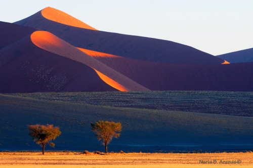 Colors of the Namib