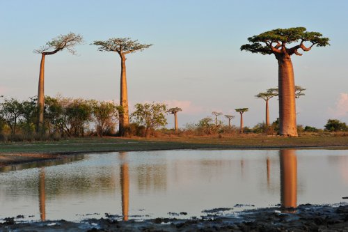 Last lights in Paradise