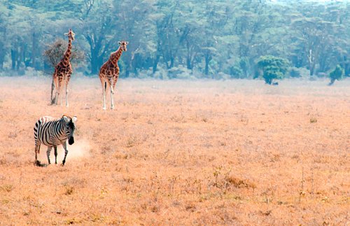 Another one bites the dust