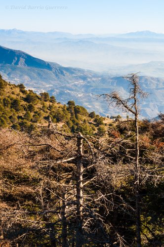 De la Sierra De las Nieves a Sierra Nevada