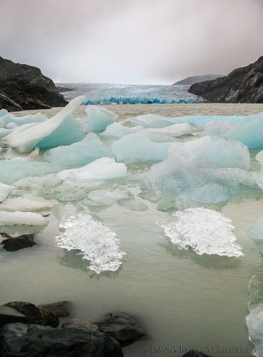 Glaciar Grey