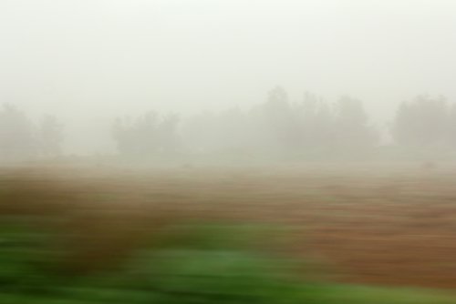 Lo que el hombre se llevó