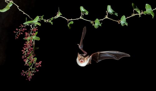 Orientándose en la oscuridad