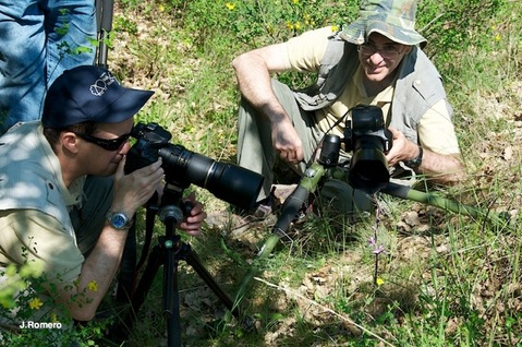 Rafael Marzal Lamana