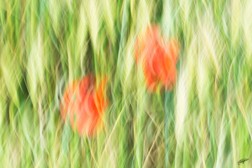 Primavera impresionista