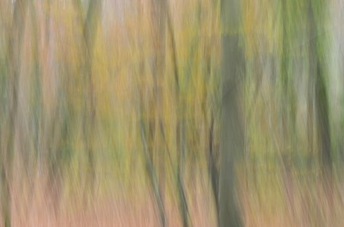 La fageda den Jordá