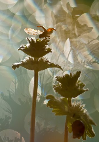 un mundo bajo los pies