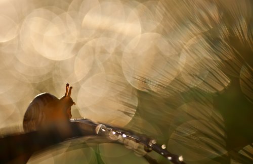 despues de la tormenta