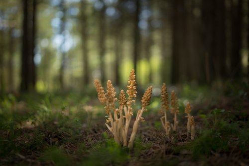 Buscando las sombras