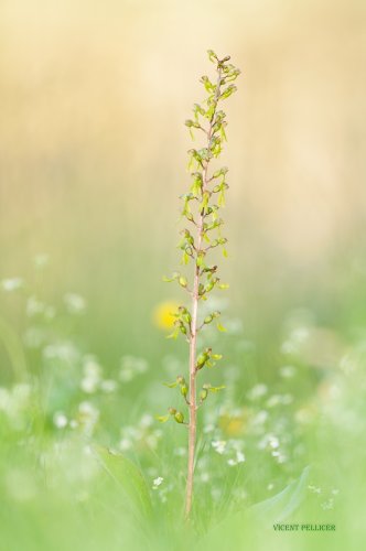 Jugando al escondite