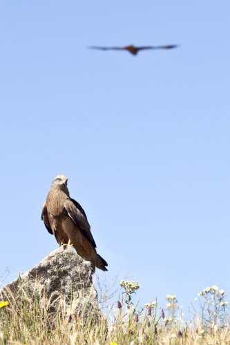 LOCALIZANDO LA PRESA