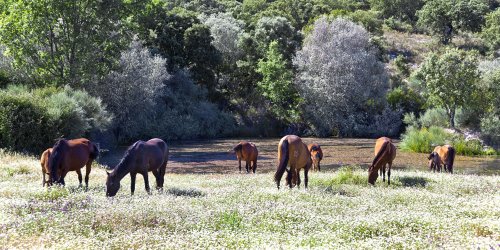 TRANQUILIDAD EN EL ENTORNO