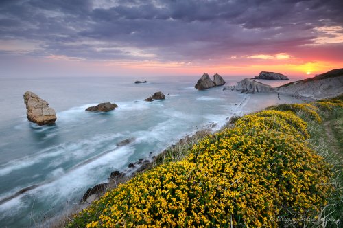 Primavera en los acantilados