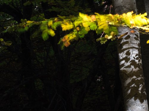 Ángulo recto de luces y sombras