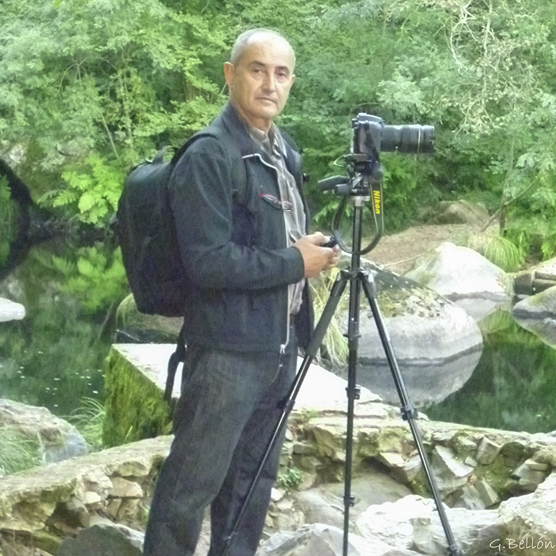 Germán Bellón Aradas