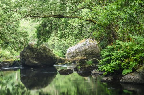 Rincones del Mandeo (2)