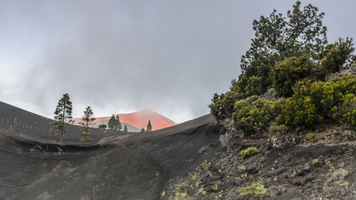 Atardecer con Neblina