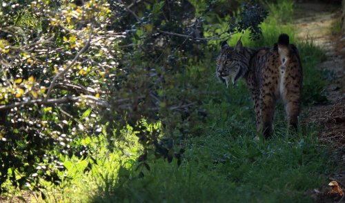 Objetivo supervivencia
