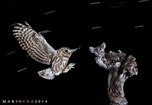 Volando entre estrellas