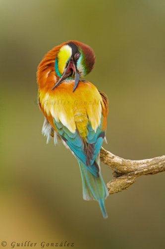 Rascarme en lugares imposibles