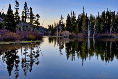 Reflejos al atardecer