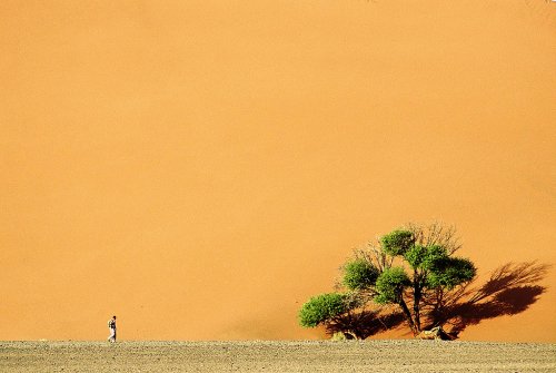 El avance de la duna